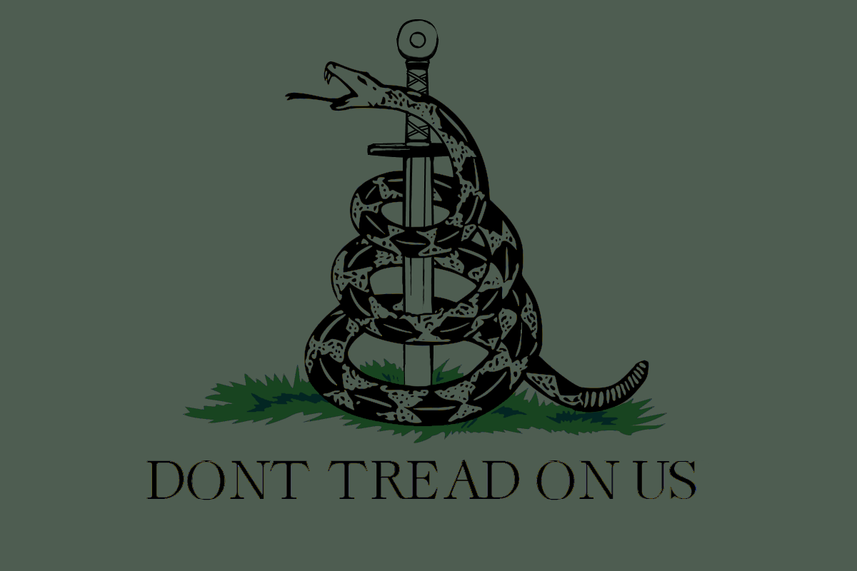 The Nation and State as Opposites